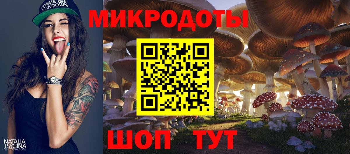 Галлюциногенные грибы Psilocybe  Вход с VPN  Волоколамск 
