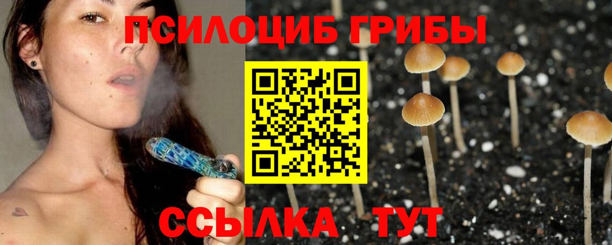 Псилоцибиновые грибы Magic Shrooms Волоколамск